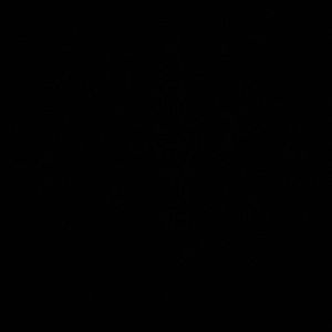 Meet your Posher, Lola